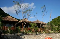 Monkey Island Resort